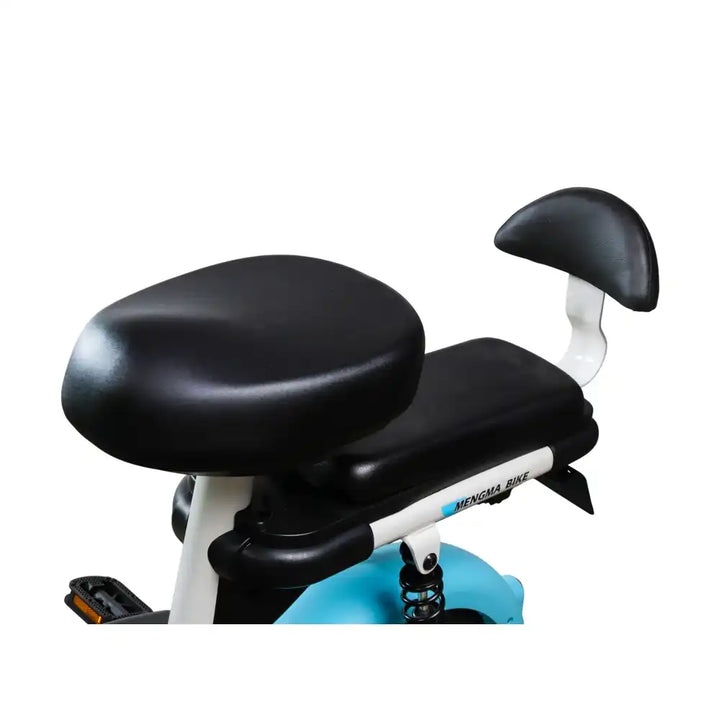 Prince Electric Rides on Scooter 14 Inch Tires 48V 12A 350W Removable ...